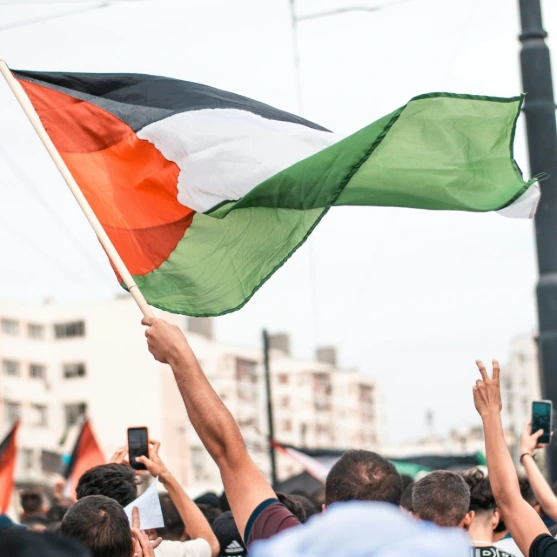 a crowd of people holding up a flag
